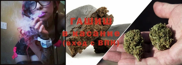 гашик Балахна