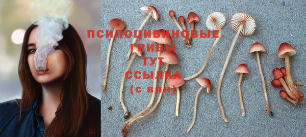 МДПВ Балабаново
