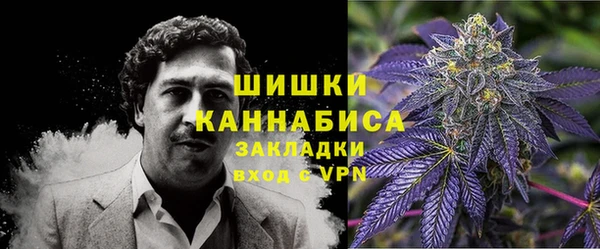 гашик Балахна