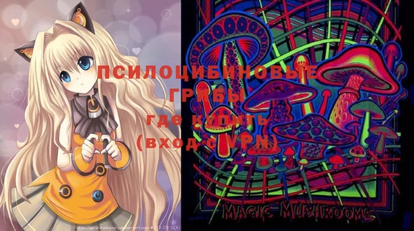 ПСИЛОЦИБИНОВЫЕ ГРИБЫ Баксан