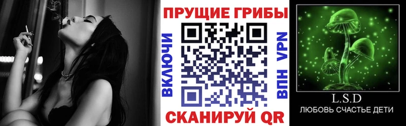 Купить закладки  Сорочинск  Галлюциногенные грибы ЛСД 
